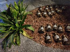 -J Create城市露营咖啡·简餐·宠物(上海动物园店)