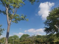 -白塘生态植物园