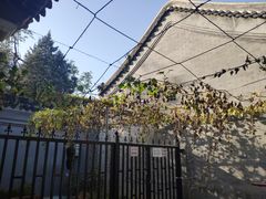 -国家图书馆·古籍馆
