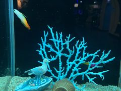 -秦皇岛新澳海底世界
