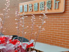 -普兰达德国餐厅·德式脆皮烤猪肘·自酿啤酒(观唐店)