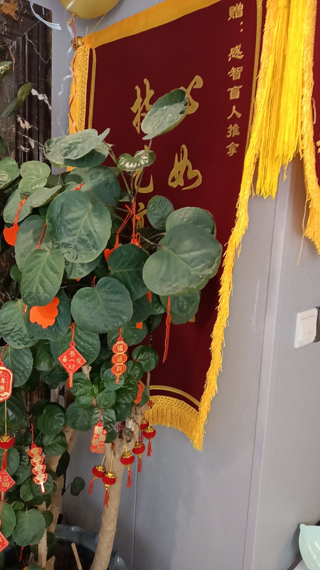 背部是全身阳气的总开关,所以养背=养命!