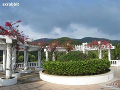 -三亚亚龙湾金棕榈度假酒店