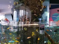 -瑞普利水族馆