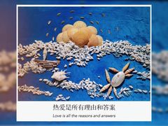 -贝壳王国博物馆