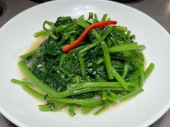 -阿诚市井潮汕菜(金台路店)