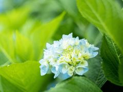 -龙苍沟森林公园