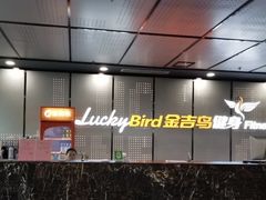 -金吉鸟健身游泳