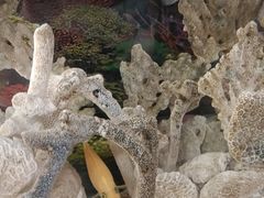 -奥龙堡游泳馆(广纸店)