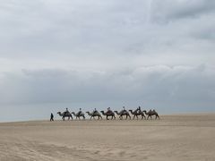 -玉龙沙湖景区