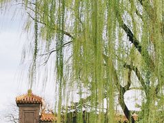 -菖蒲河公园