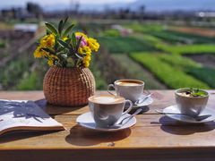 -翠田Green Field Kitchen