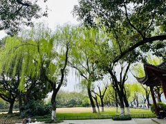 -柳浪闻莺公园