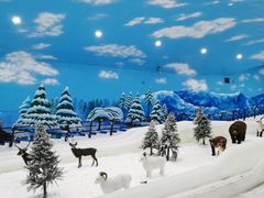 -世界之窗阿尔卑斯冰雪世界