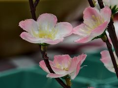 -拾分大排档·顺德鱼生·炭火羊肉煲·海鲜烧烤(南海桂城店)