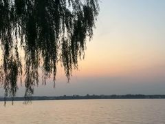 -丁香湖公园