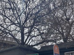 -洪记白水羊头(留学路店)