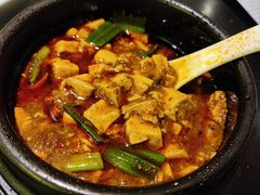 -陈麻婆豆腐总店
