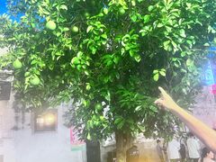 -黎阳老街