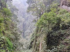 -青城山