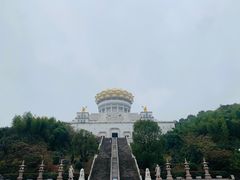 -陈家沟云太极拳馆培训中心