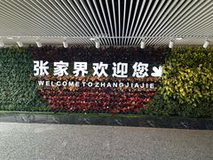 -张家界荷花国际机场