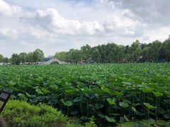 -长春市南湖公园