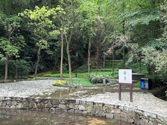 -缙云山景区