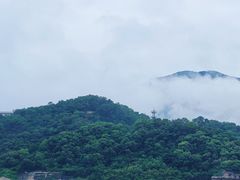 -福道