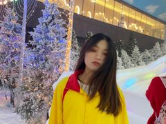 -世界之窗阿尔卑斯冰雪世界
