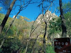 -大岭沟猕猴桃谷风景区