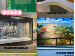 -杭州植物园