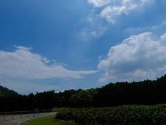 -南沙蒲洲花园