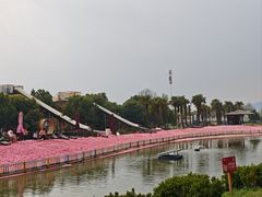 -苏州太湖西山岛开心农场