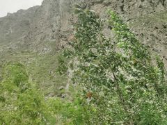 -叠溪松坪沟景区