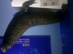 -石林冰雪海洋世界