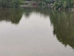 -听松楼-中餐厅.家宴(红梅公园店)
