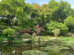 -上海滨江森林公园