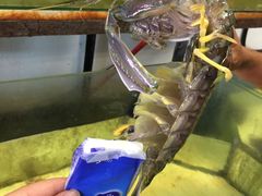 -ZF Seafood Restaurant 卓峰海鲜餐