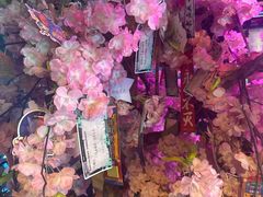 -长藤鬼校(钟楼店)