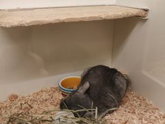 -龙猫仔乐园(惠福东路店)