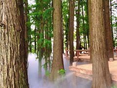 -东湖落雁景区