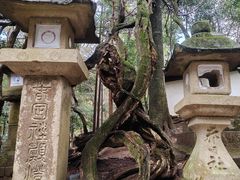 -奈良公园
