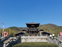 -大唐贡茶院