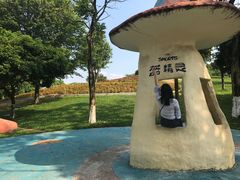 -松山湖梦幻百花洲