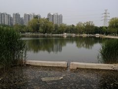 -太阳宫公园