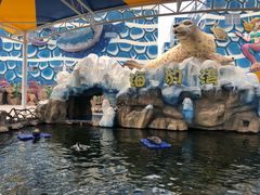 -华夏文旅海洋公园