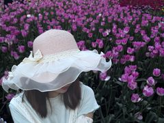 -厦门园林博览苑