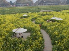 -中国天府农业博览园