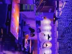 -千岛蚝高压锅生蚝·人参火锅(白云万达店)